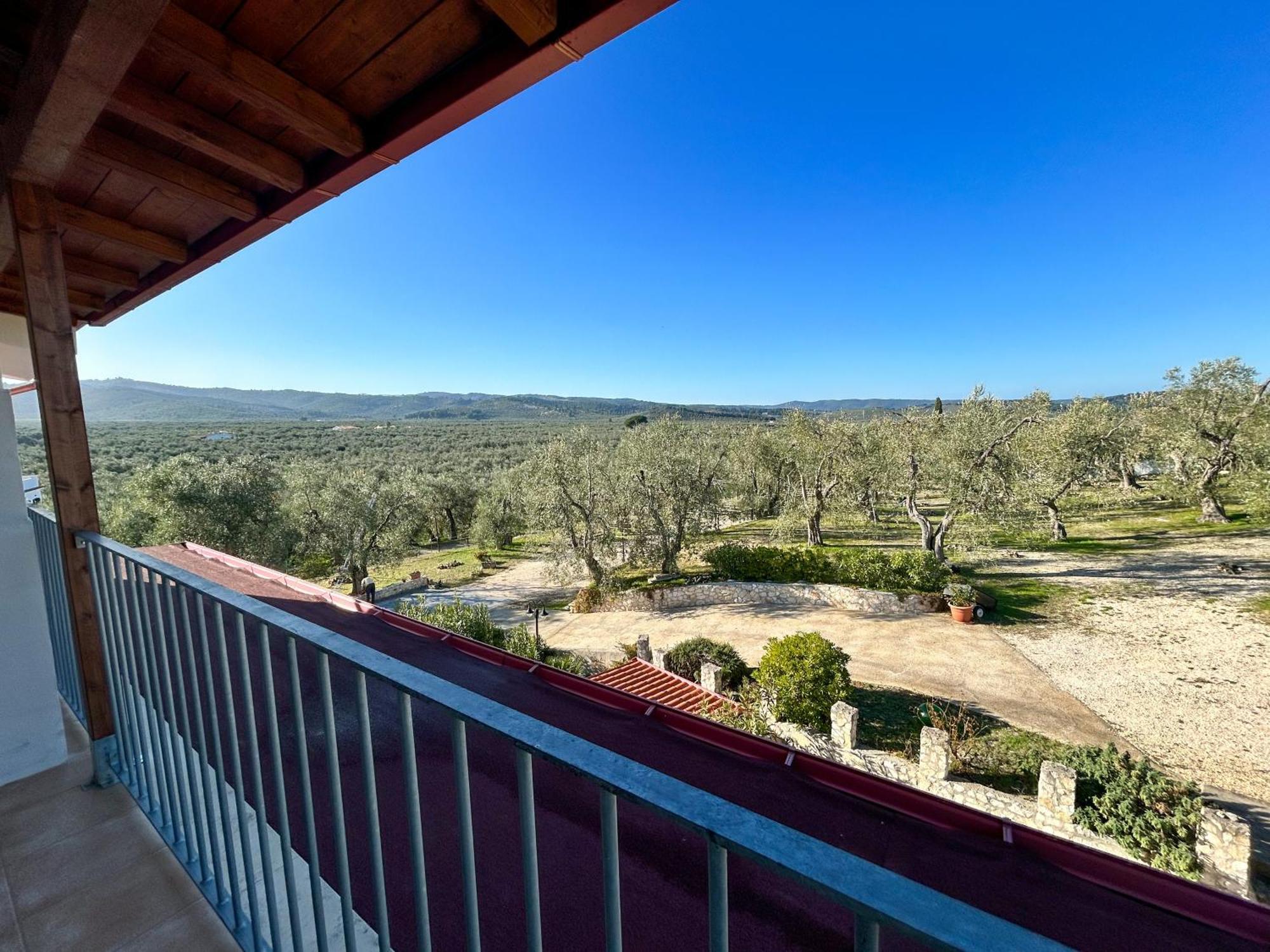 Valle Degli Ulivi B&B Vieste Dış mekan fotoğraf