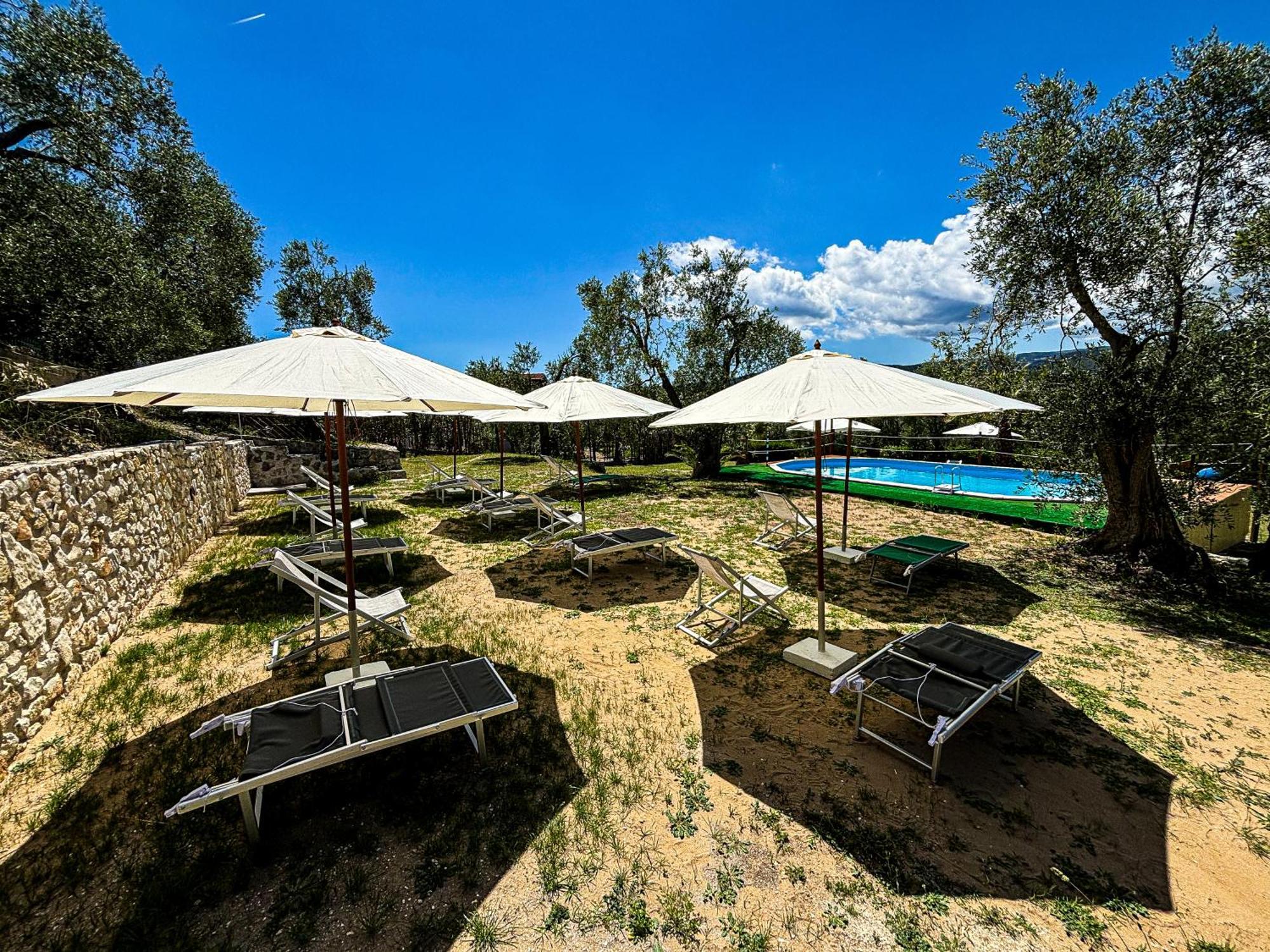 Valle Degli Ulivi B&B Vieste Dış mekan fotoğraf